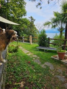 Mid of Nature Bella Vista Lago Maggiore charmant mit traumhaften Seeblick, Terrasse und großen Garten