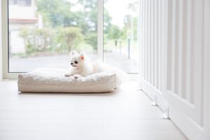 ペットと泊まれるプライベートヴィラ Tous les doudou トゥレ ドゥドゥ