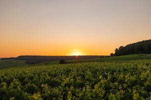Hotels LOISIUM Wine & Spa Hotel Champagne : photos des chambres