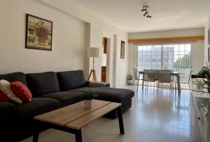 Sunny 2 bedroom flat in Engomi