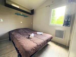 Campings Domaine Les Acacias : photos des chambres