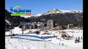 Appartements Duplex - Coeur de Station - Super Lioran : photos des chambres
