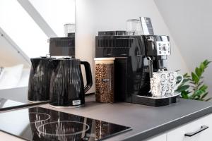 Tempus Te Avangard Tallinn with terrace and gym