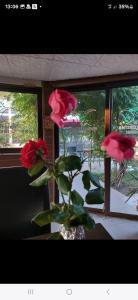 Pensiunea Cristian Alexandru