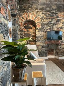 Urban Chic Apartment White