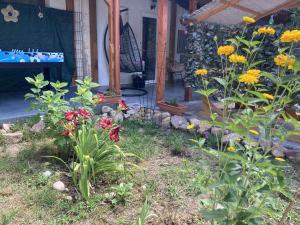 Theodor Tomaj 3Bdr AC Garden Terrace