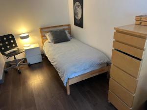 Contemporary House with a Woodland Setting