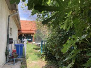 Theodor Tomaj 3Bdr AC Garden Terrace