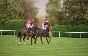 Studio flat - ideal for Heathrow & Slough Business