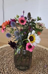 Charmerende og hyggelig lejlighed tæt på centrum