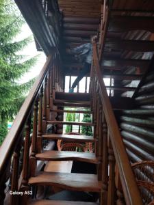 ПАННА КАТЕРИНА