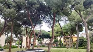 Casa Rossella by Affitti Brevi Rimini