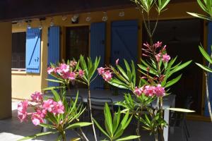 Maisons de vacances Le Manse : Maison 5 Chambres