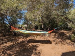 Villas Andemu Pianottoli Caldarello : photos des chambres