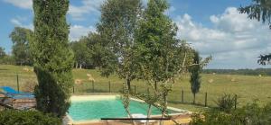 le Bosc de castang