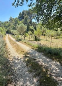 Maisons de vacances Family cottage with private pool : photos des chambres