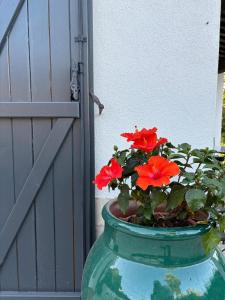 THE GREEN OASIS breathtaking sea views, swimming pool, privacy in Villa Liliana