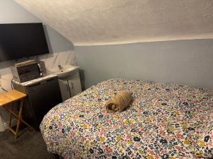 OYO Woodville Lodge Leeds