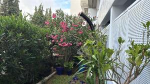 Maria Luisa Beach -Amarals Guesthouses