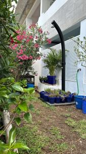 Maria Luisa Beach -Amarals Guesthouses