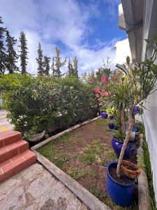 Maria Luisa Beach -Amarals Guesthouses