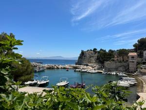 Appartements Calanque de Niolon, emplacement exceptionnel 1 minute de la mer : photos des chambres