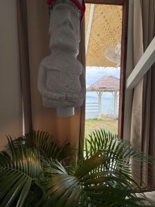 The Place Beachfront