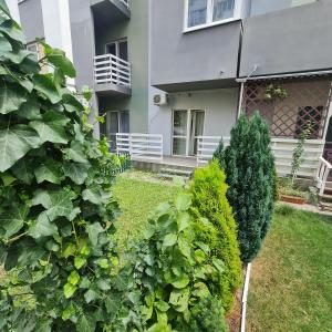 Смарт апартаменты