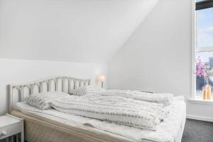 541-Thisted-Nordsovej-49