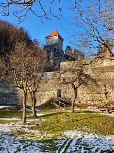 Slovenian Green Apartment