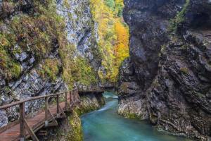 Slovenian Green Apartment
