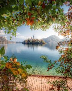 Slovenian Green Apartment