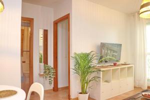 Apartamento Rosalia de castro Conil