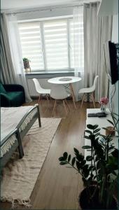 Urban Concept Apartament