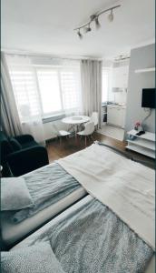 Urban Concept Apartament