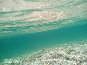 Maria del Mare img24