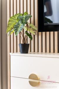 Your Holidays Bel Mare 107 F