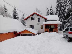 Cabana Boema Râușor