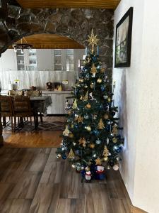 Cabana Boema Râușor