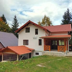 Cabana Boema Râușor