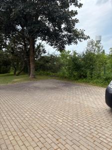 Liiva külalistemaja