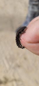 Barbers Trail Lodge - Modern Comfort, Wild Beauty