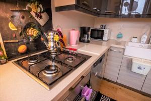 Taksim Roya Apartment -center of the Istanbul