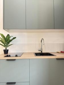 Appartements Studio Mezzanine Cozy - 4 pers - Gare & Centre : photos des chambres