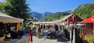 Appartements Campanules 2 - Abondance : photos des chambres