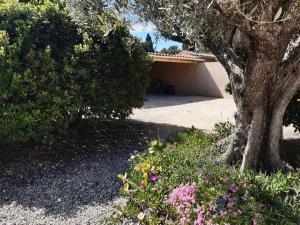 Mas jumelé 2 chambres dans cadre idyllique proximité mer