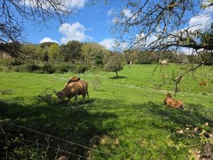 Affittacamere Gallurà img10