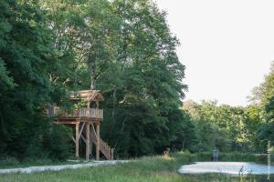 Chalets La Cabane de l-Etang : photos des chambres