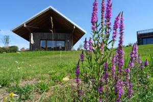 Maisons de vacances Les Woodies : photos des chambres