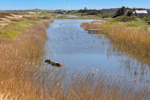 1337-Vestervig-Magevej-17